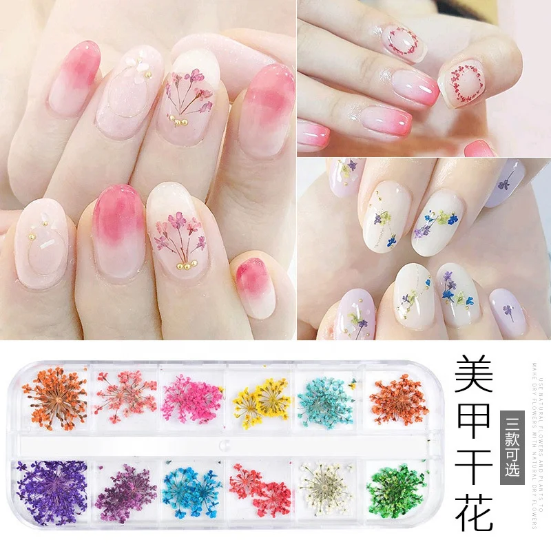 Wholesale Dried Flowers for Resin Mold Nail Art Small Tiny Real Natural Flower Decoration Supplies
