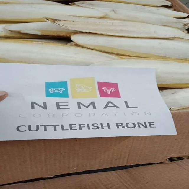 
High Quality Cuttle Fish Bone 