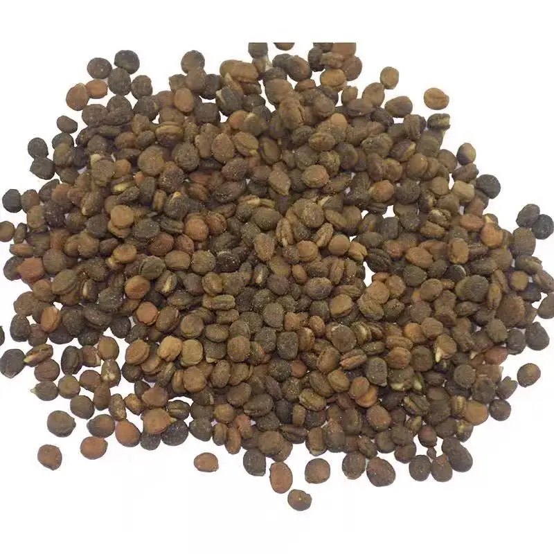 
Competitive Price Ginseng Seeds For Planting 