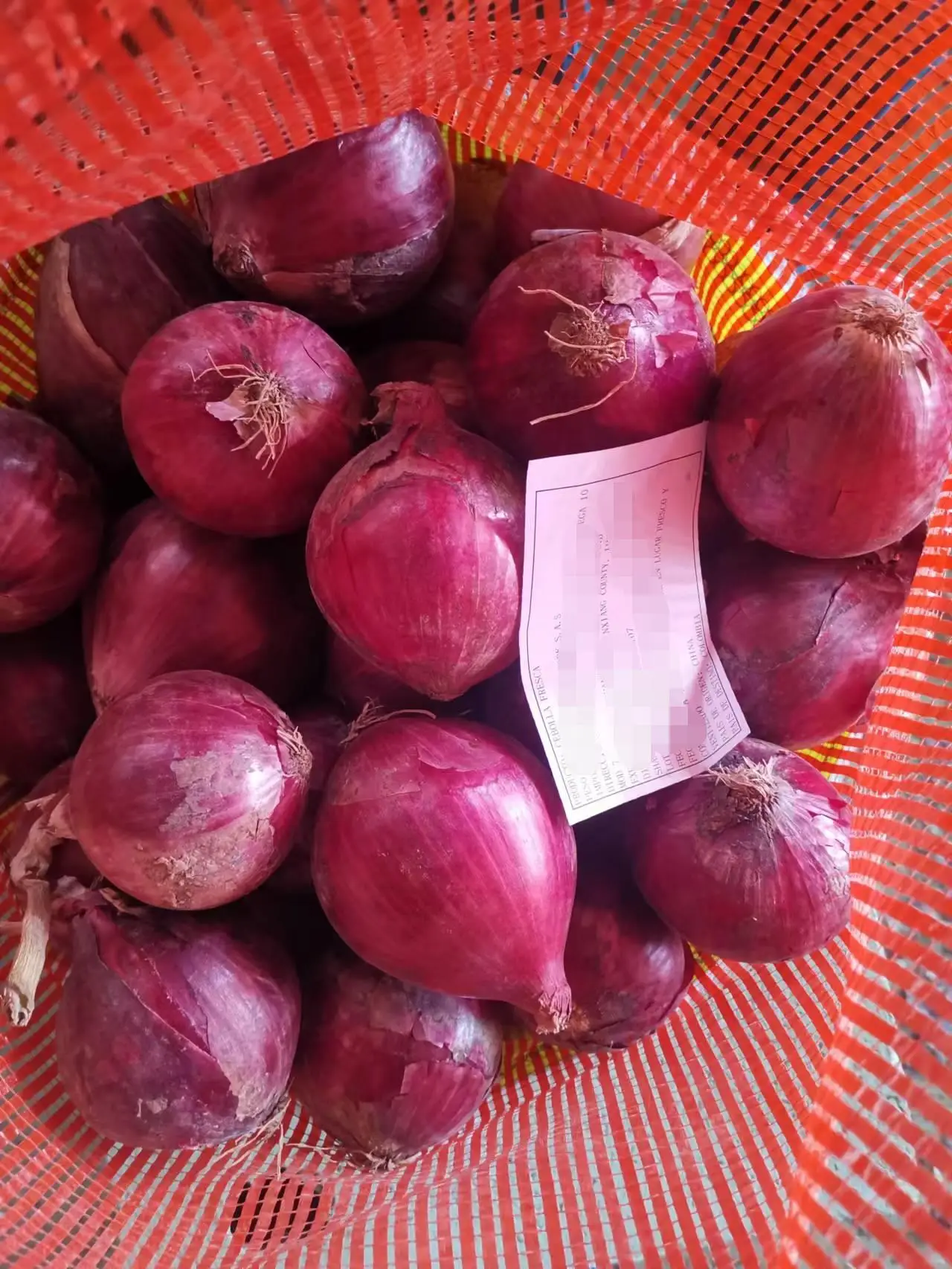Fresh onions 2023 crop yellow onion and red onion supply from China Gansu origin with best quality