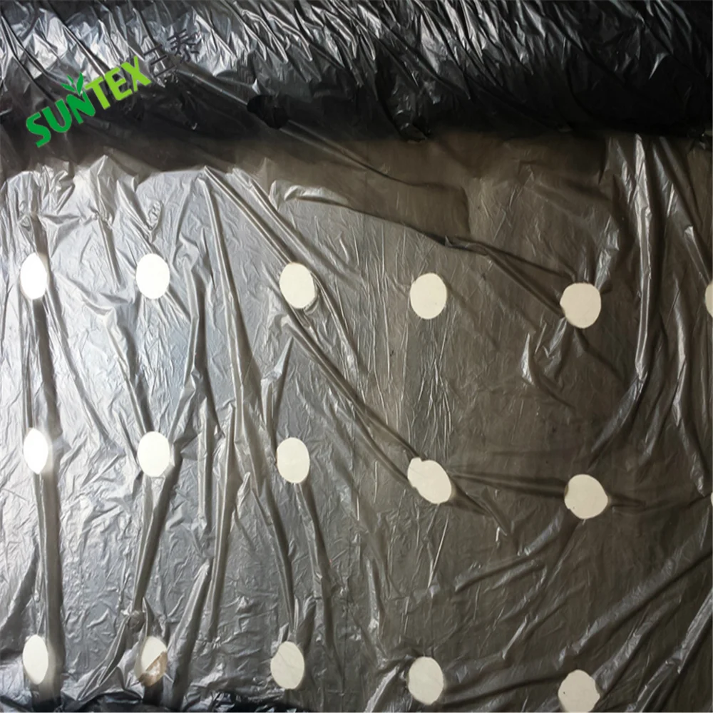 25 micron Black Black Mulch Film, Weed Barrier Custom Size Mulch Layer For Tomato