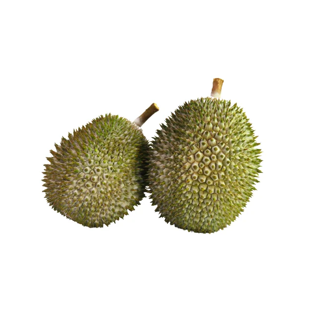 High Quality Malaysia Wholesales Fresh Durians IOI AA D168 from Top Malaysia Durian Fruit Supplier HALAL