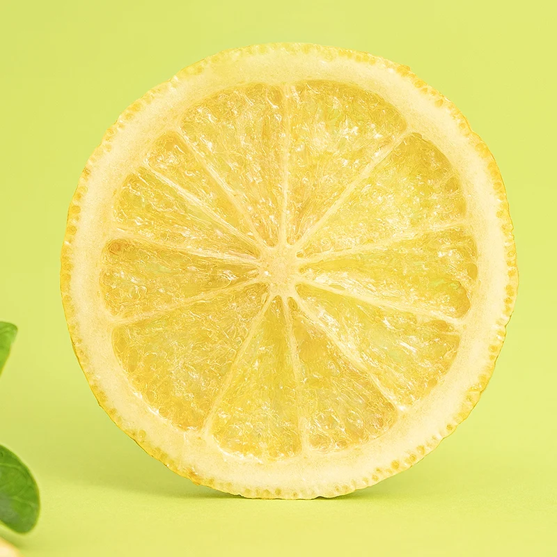 Fresh Lemon Handmade Good Quality Dried Lemon Slice Fruit Slice for Lemon Tea