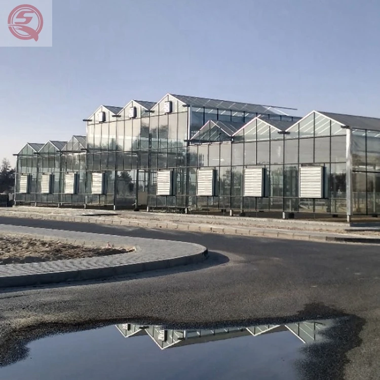 Лидер продаж заводская цена большая многопролетная теплица из поликарбоната томатный зеленый