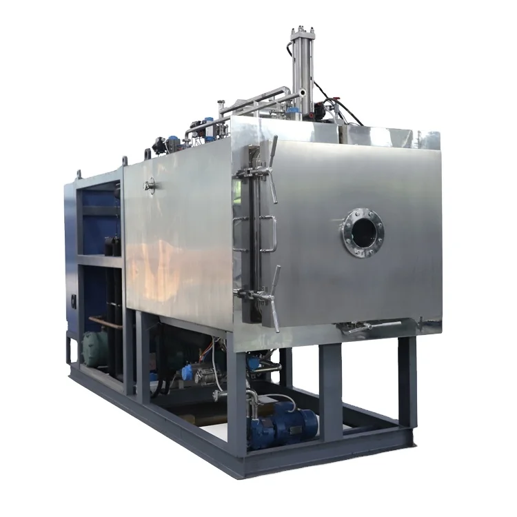 China Fruit and Vegetable and meat Vacuum Freeze Drying Machine Food Freeze Dryer