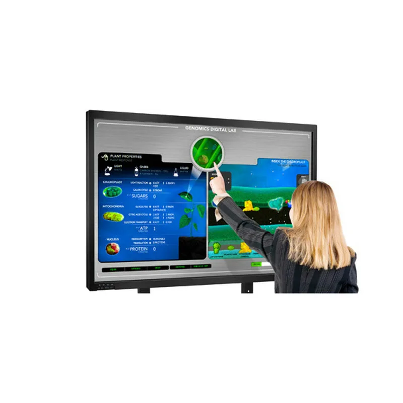 Educational Equipment Multi Touch Interactive Smart White Board For School