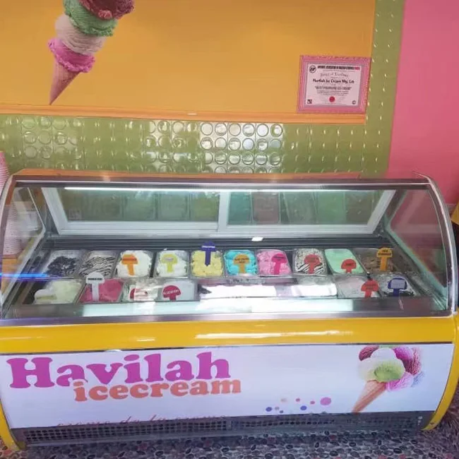 Ice CREAM GELATO DIPPING Cabinet Freezer Display Case CE Stainless Steel 18 ST Table Supermarche Pour Glace Et Fruit De Mer 17