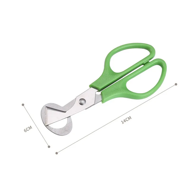 Hot Sale Kitchen Accessories Wholesale Mini Pigeon Quail Egg Scissors