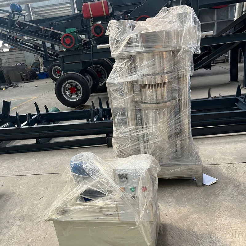 Small commercial oil press industrial cold pressed black seed oil moringa seed oil machine