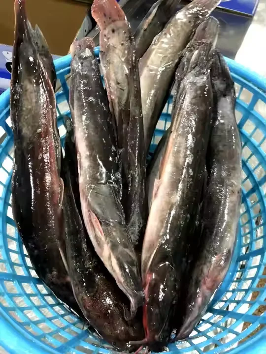Замороженный сом объемный цельный круглый замороженный WR