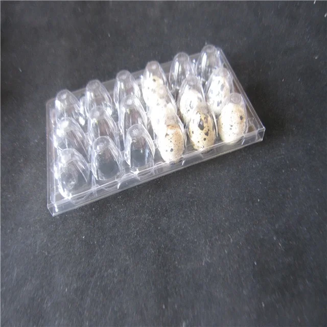 12 packs quail  egg  tray plastic PVC container for eggs