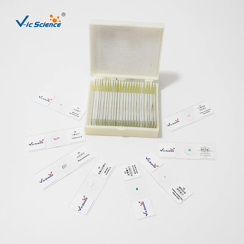 Teaching resources and teaching equipment Schools and medical hot sellers chromosome microscope preparation slide