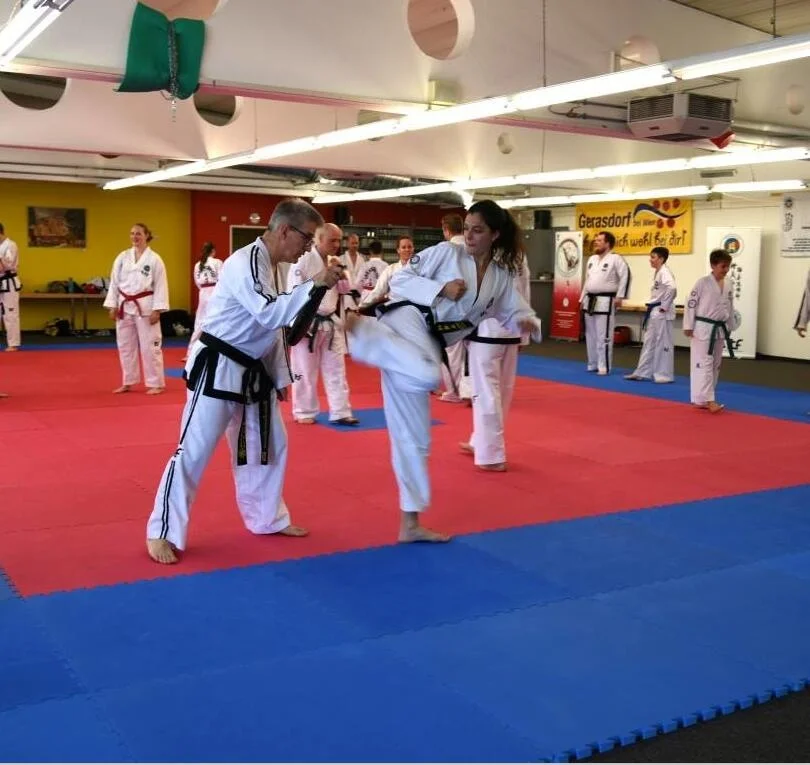 Manufacturer Price tatami 2.5cm Thickness martial arts Interlocking EVA taekwondo floor mats Eco friendly