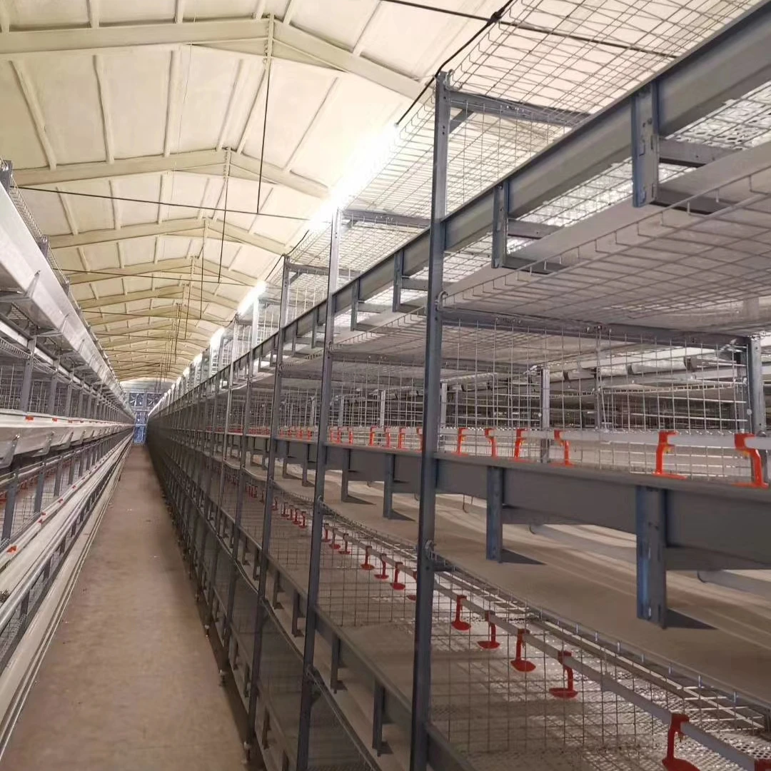 Lowest Price coop 200 broiler chicken breeding cage with high quality