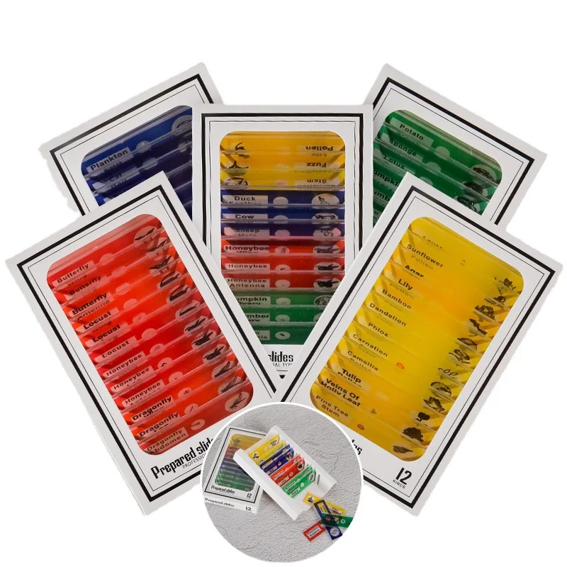12pcs/set Plastic Microscope Slides Safe Children Slide for Kids Leaning