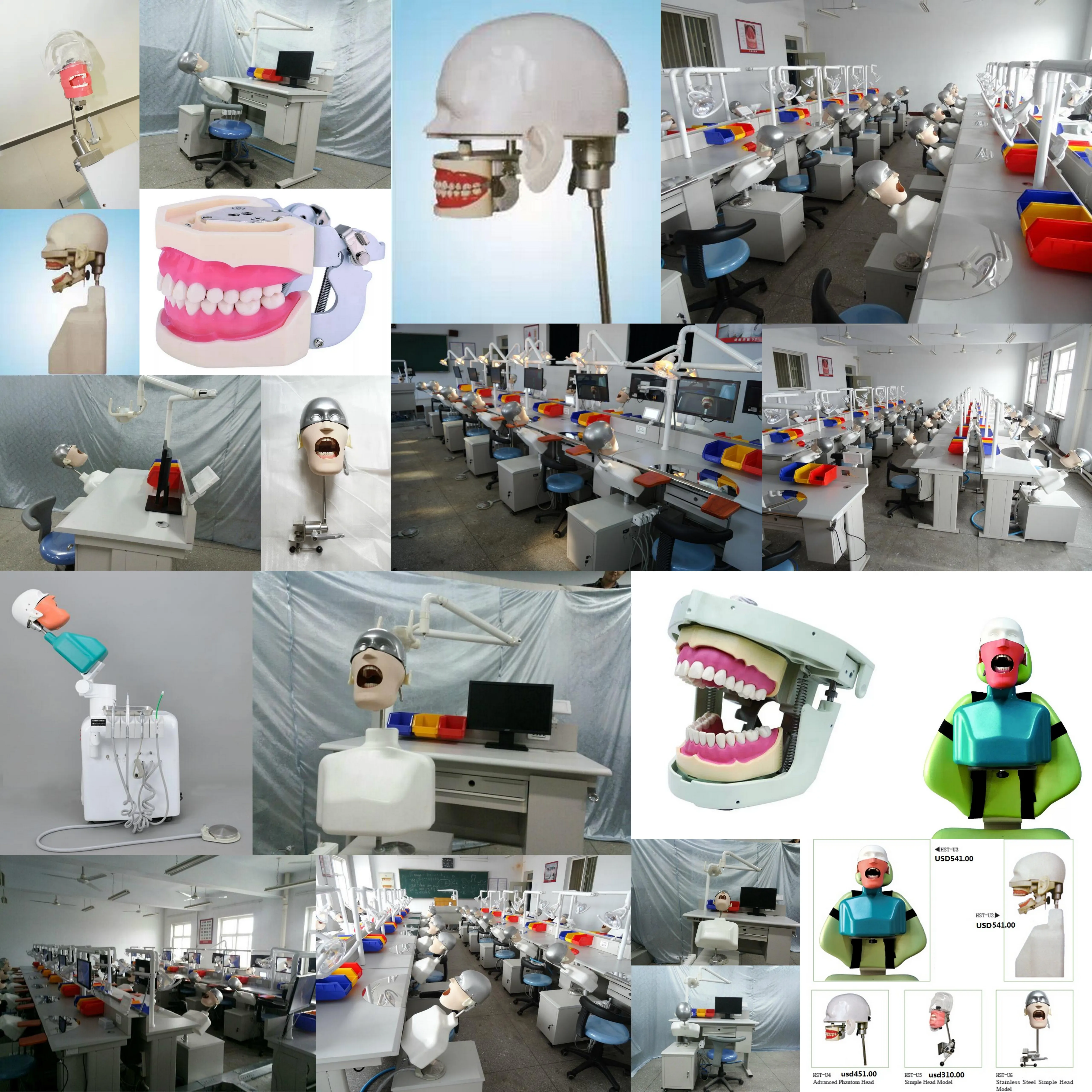 DT dental manikin advanced phantom head