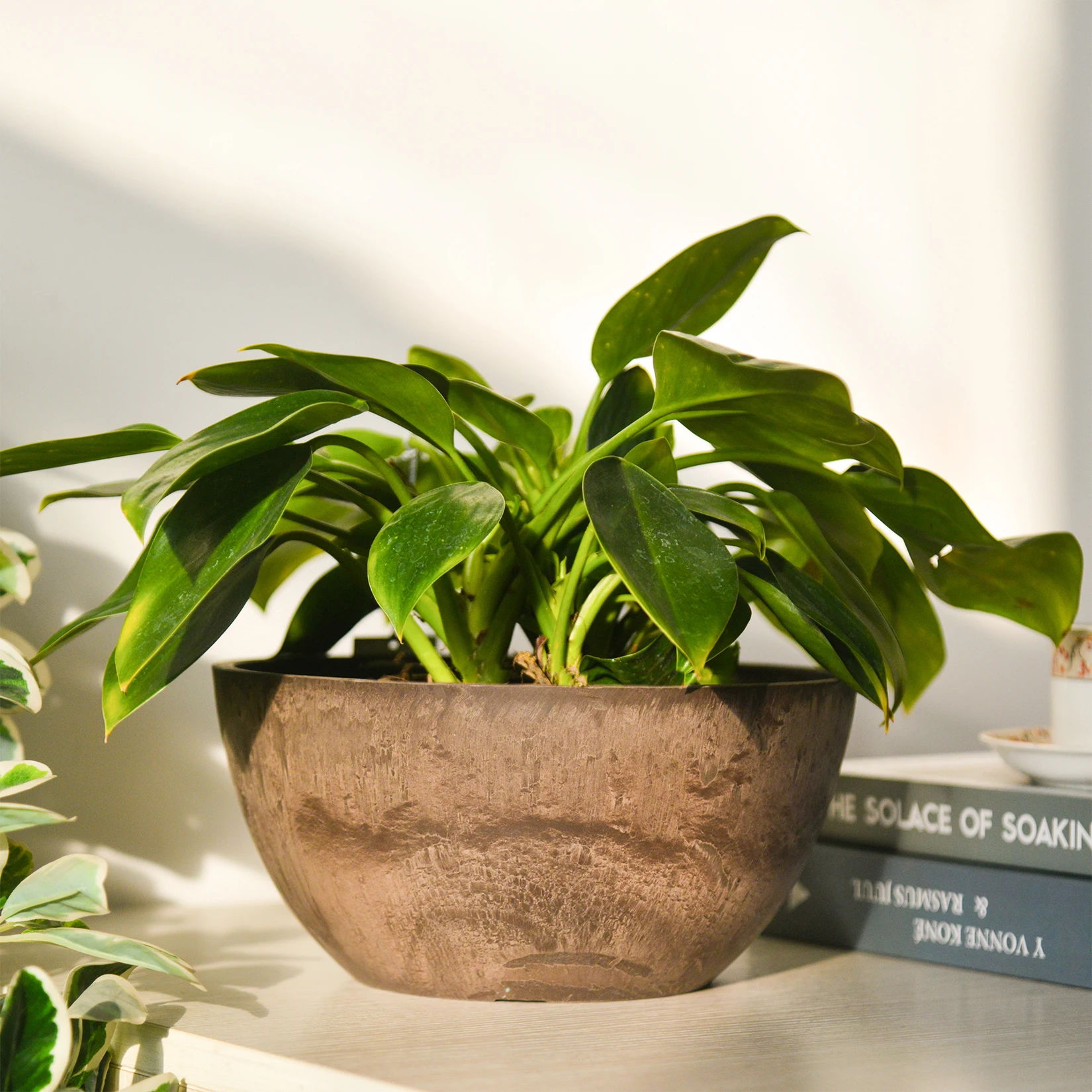 Natural stone pattern unbreakable Resin Flower Pot  Green Europe Style Time Lead Modern VASE Floor Garden Plant