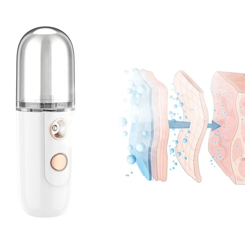 Mini Portable Electric Rechargeable Skin Moisture Cool Nano Sprayer Face Mist Sprayer
