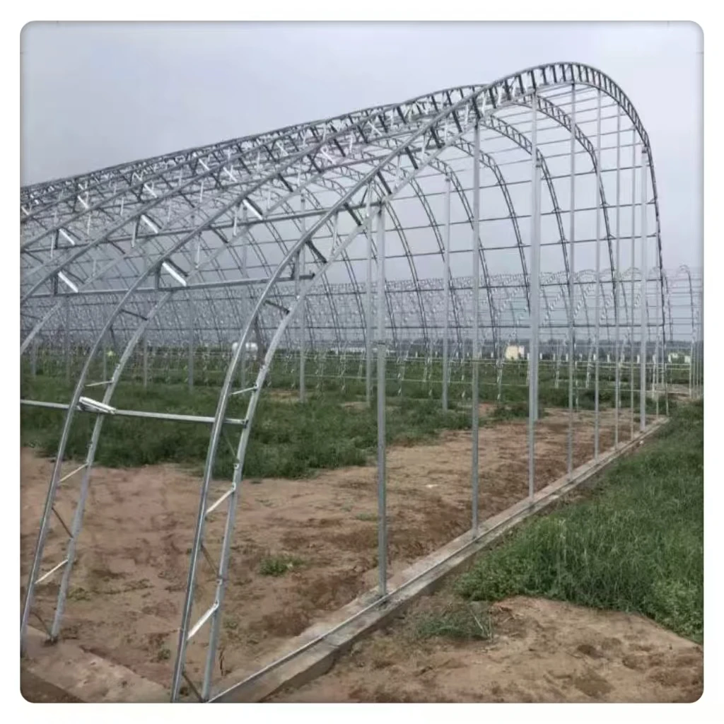 Hot Selling Large Agricultural Insulated Arched Easy Install PE Film Material Square Pattern Green Plants single span Greenhouse