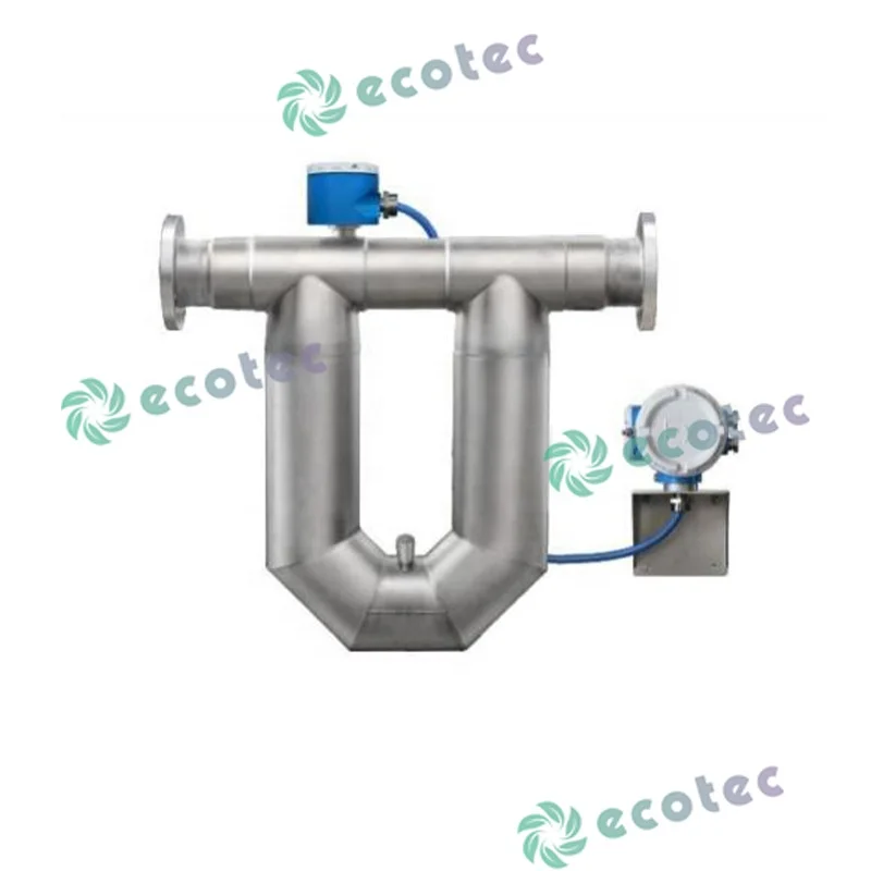 Ecotec Gas Liquid and Multi-Phase Flow Mass Flow Meter for Gas Station