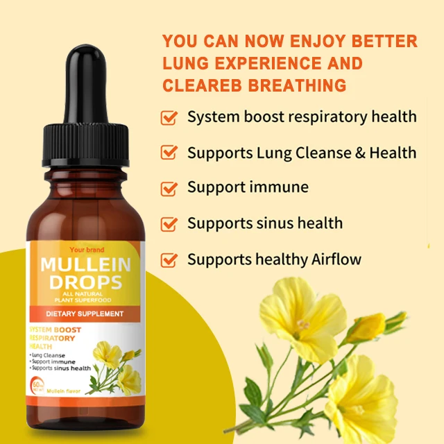OEM mullein leaf drops supports healthy respiratory function alcohol-free respiratory system promotion natural herb syrup