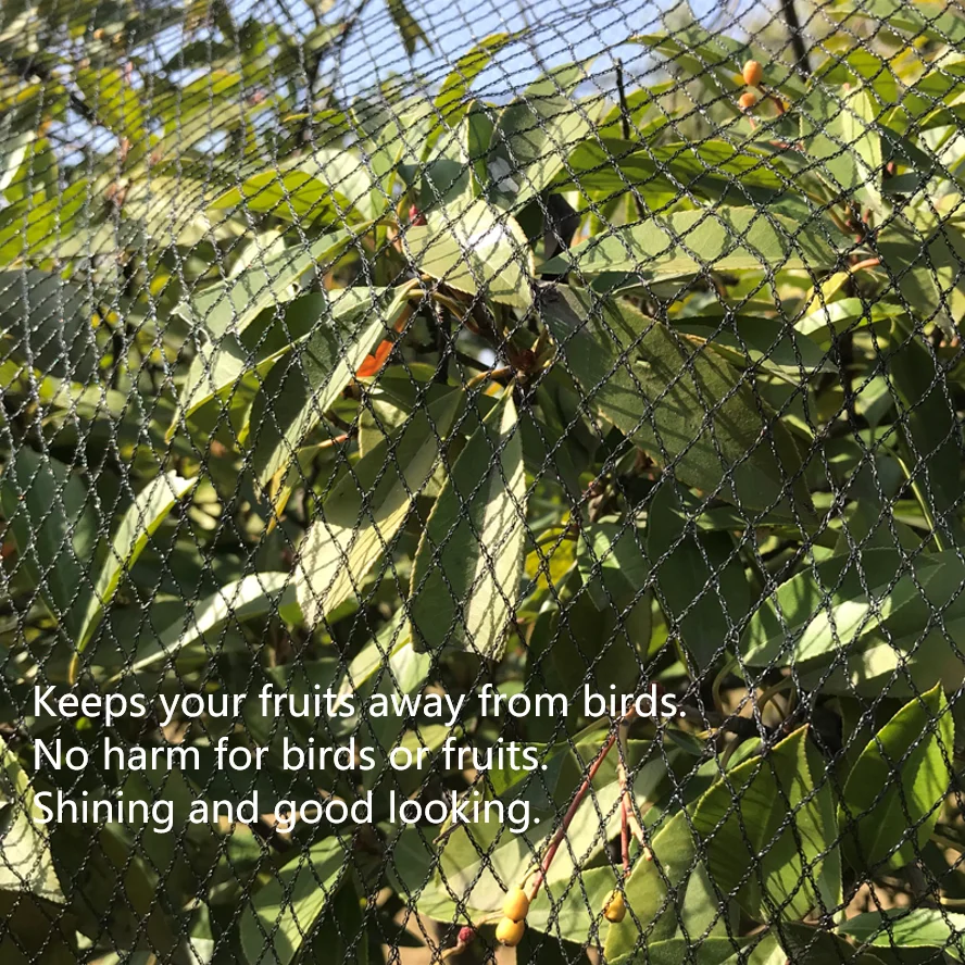 hot selling heavy duty knotless black anti bird netting vineyard plastic net agricultural cover net