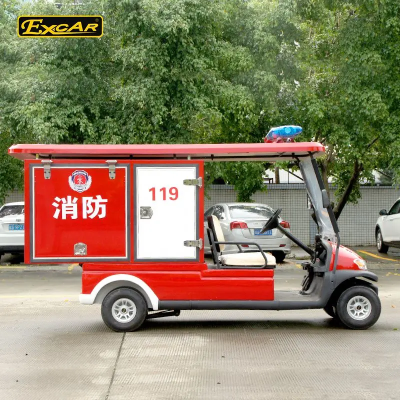 Electric 2 seater mini fire electric car/Trojan Battery/Curtis Controller