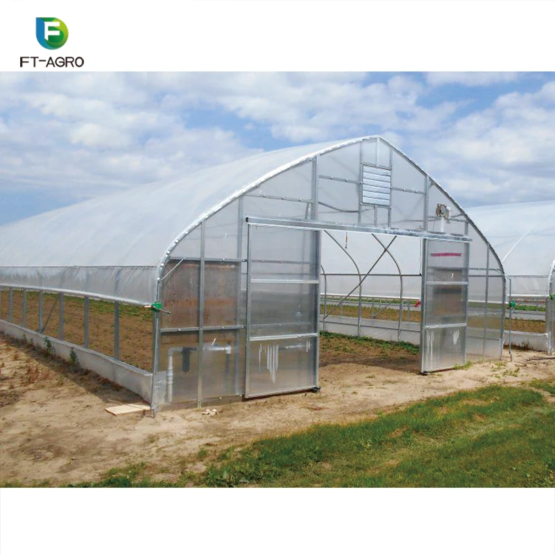 Professional Film Covering plastic tunnel greenhouse