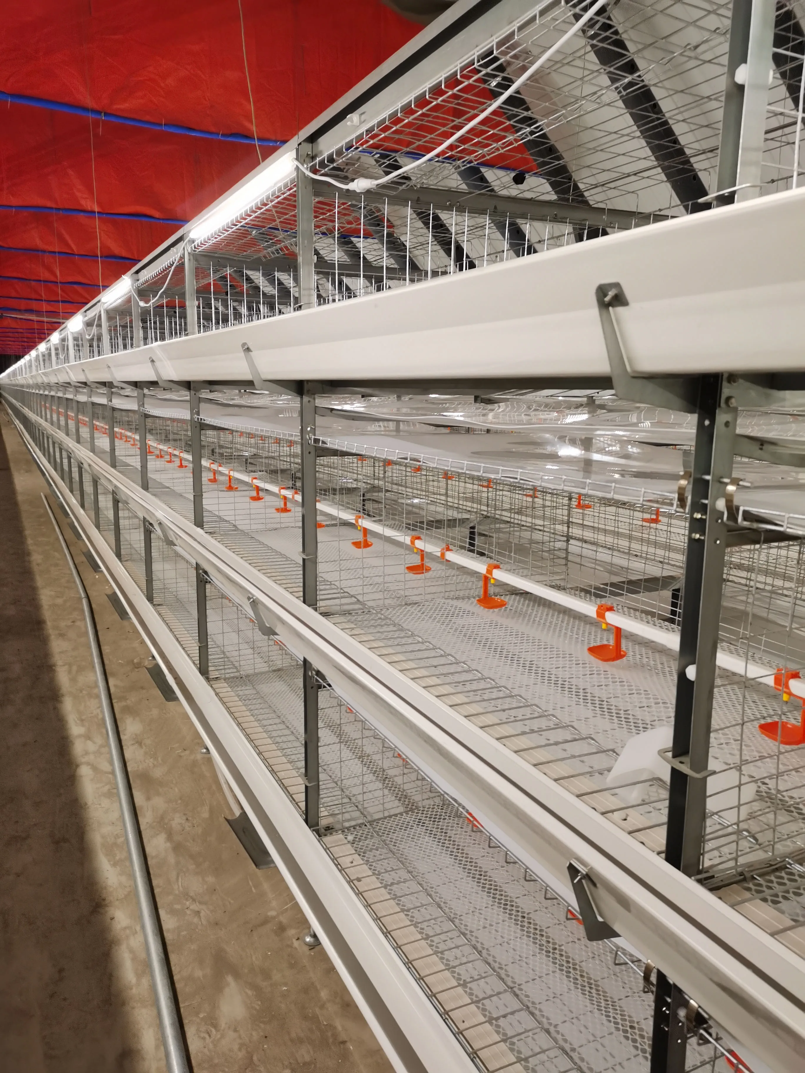 Лидер продаж 2024 сельскохозяйственное оборудование для птицеводства автоматическая клетка кур H-типа