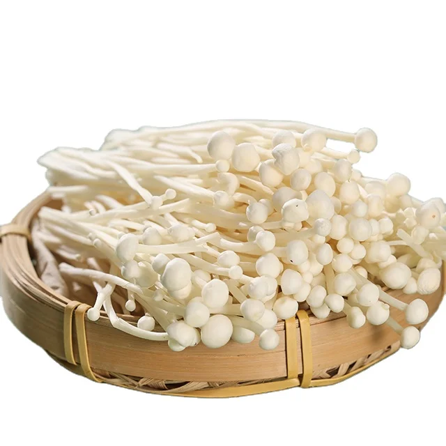 china mushrooms supplier mushroom bags cultivation enoki mushroom