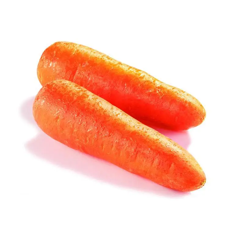 
xiamen no.316 variety fresh carrot factory supply 10kg carton 