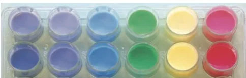 150nm Carboxyl Amino COOH NH2 Polymeric ColorMax Red Dyed Latex Microsphere Factory Wholesale Uniform Morphology