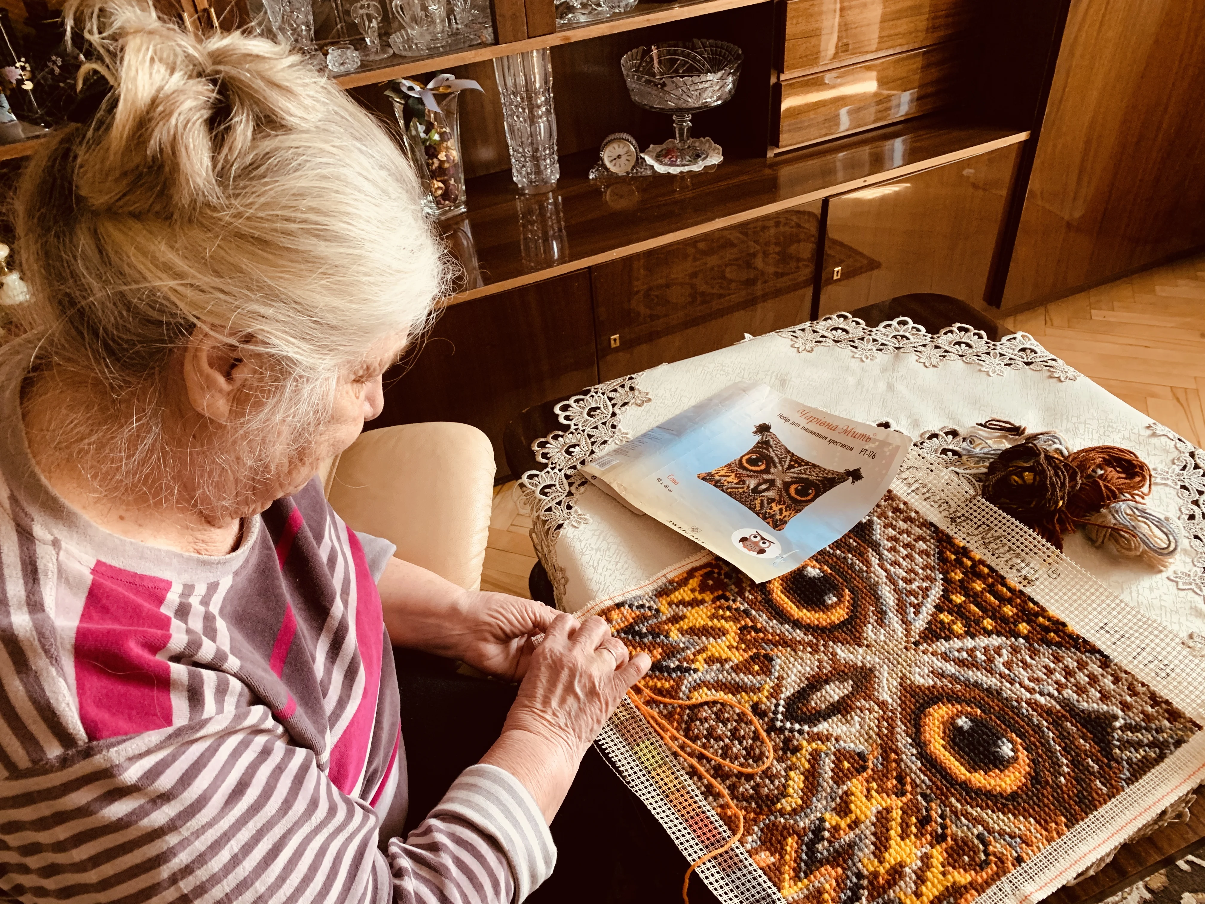 Handmade Arts Needlework Cross Stitch Succulent Plants Designs Cross-Stitch Kits