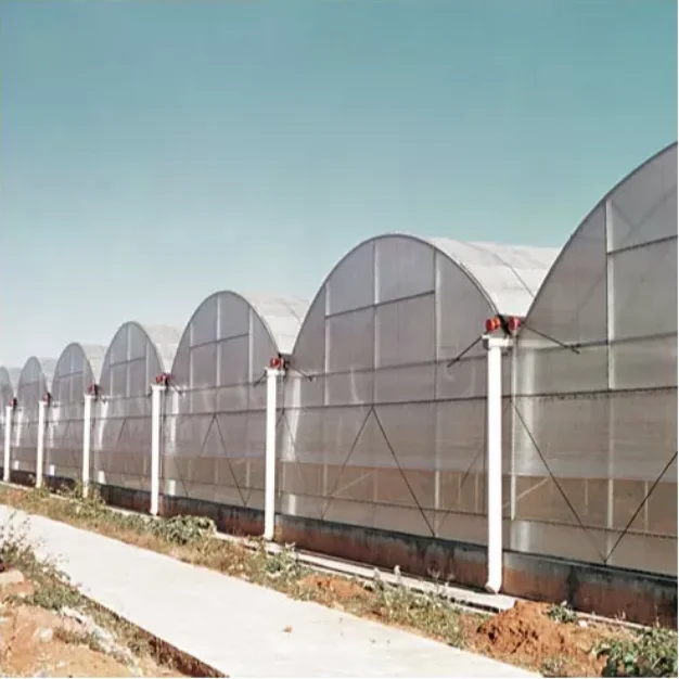 Best Selling Durable Using Multi Span Greenhouse For Sale Manufacturer