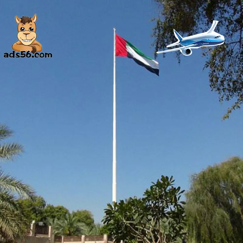 free shipping good Fast international DDP door to door shipping cargo sea freight China to UAE Dubai---Whatsapp:+86 155727506803