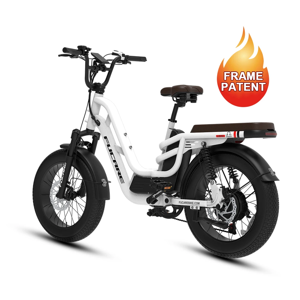 OEM/ODM Electric Motorcycles 48V 750 Motor Removable Battery Ebike 7 Speed 20' Fat Tire Full Suspension Electric Mountain Bike