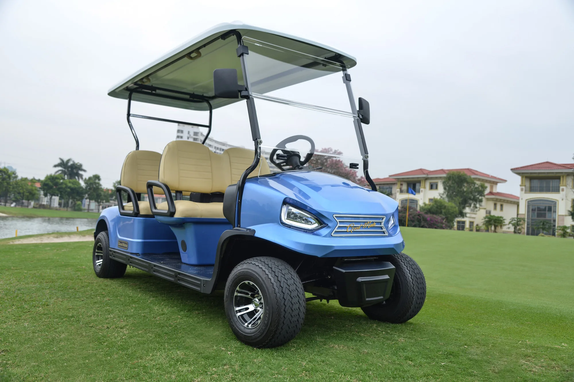 Electric Golf Car Golf Buggy with 4 Seater Golf Cart for Sale the Villages