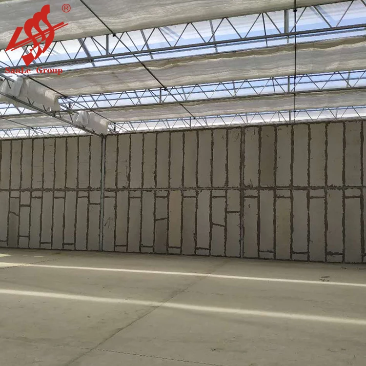 Building Materials EPS Cement Sandwich Wall Panel