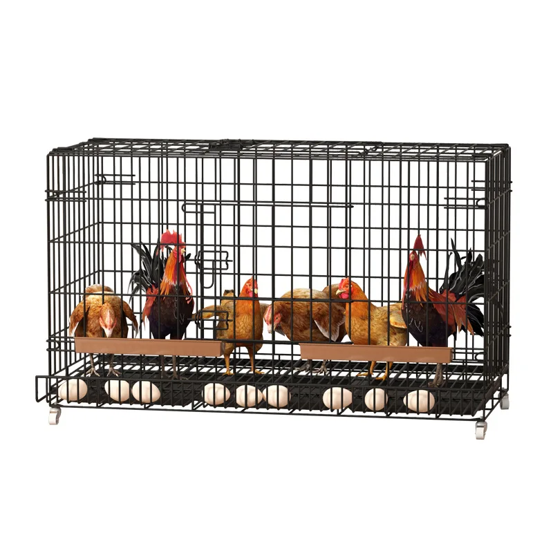 Large Breeding Chicken Cage Feeder Chicken Cage with Egg Tray