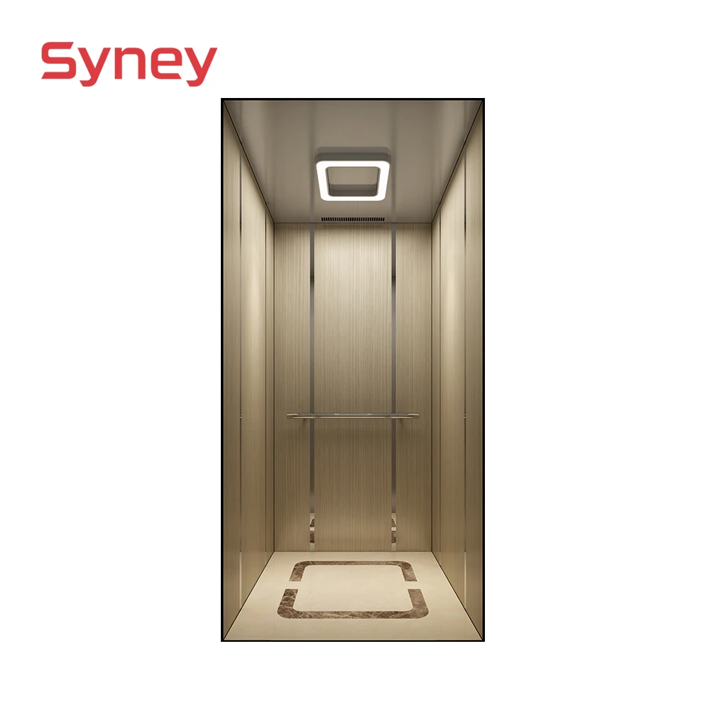 Syney Superior Quality Stable Performance 4~5 Persons Home Villa Elevator