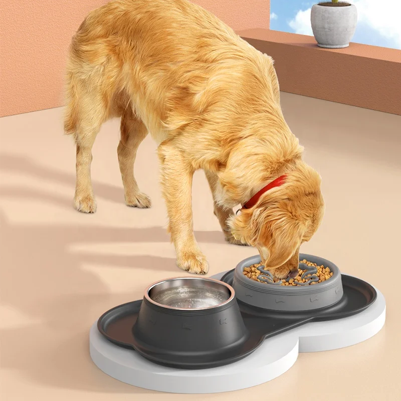 Slow Feeder Dog Bowls Stainless Steel  Food and Water Bowls with No-Spill Silicone Mat Slow Down Eating Pet Bowl
