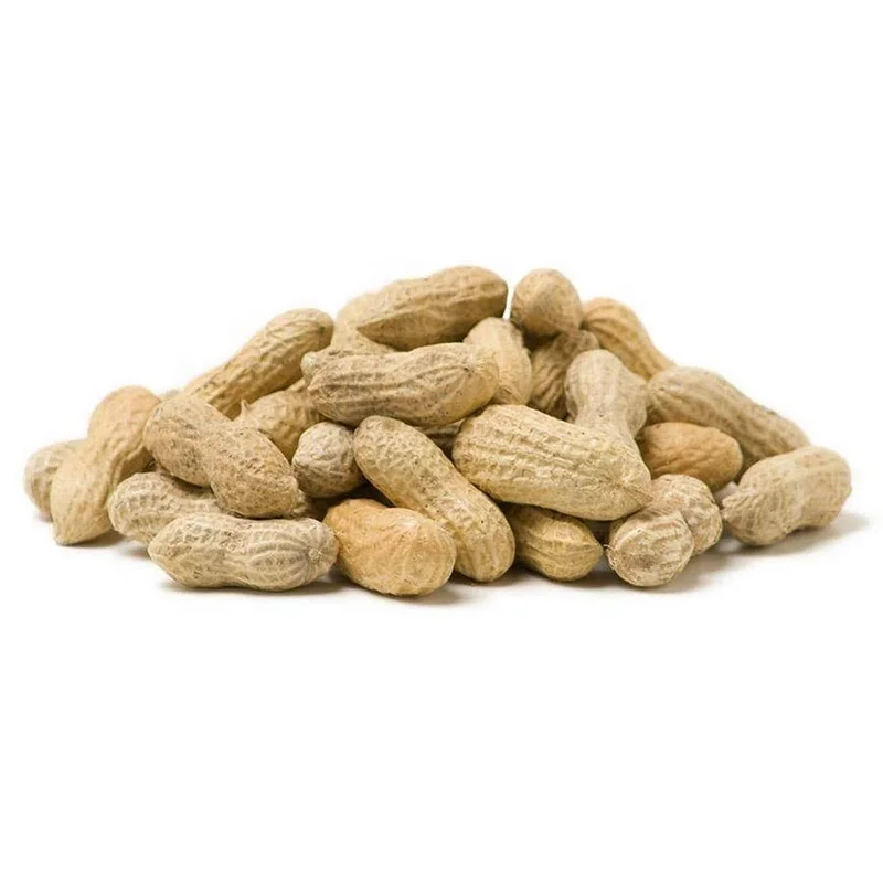 
Factory Supply High Quality Peanut in Peanut Shell And Kernel Price With Best Prices 