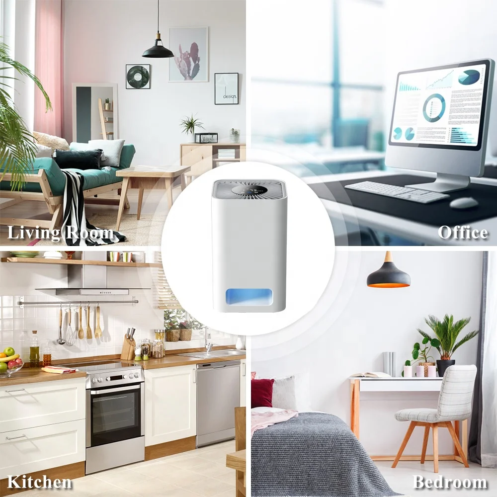 Commercial Large Portable Air Purifier purificador de ar Negative Ions Air Cleaner with Timer