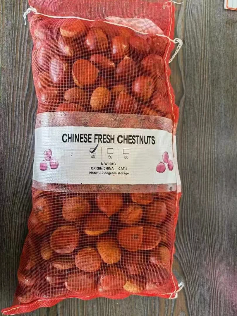 China Healthy Organic Chestnut Export Fresh Raw Chestnut Wholesale Cheap Price for sale