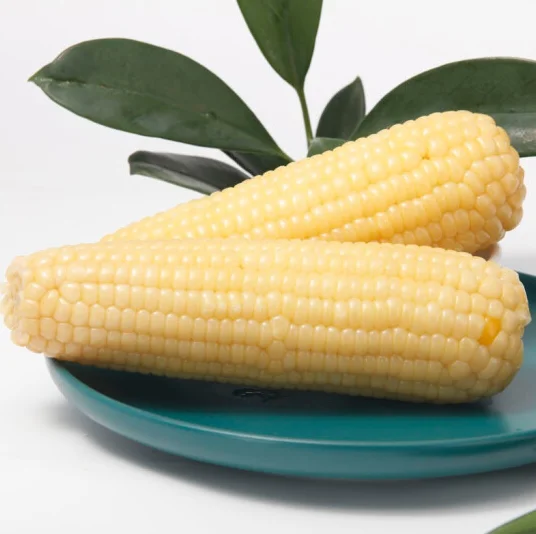 Wholesale supplier factory frozen corn hot sale sweet corn popular product white corn