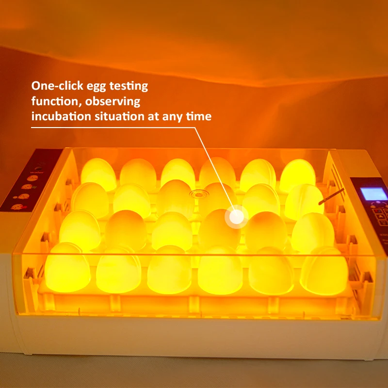 Factory Price HHD Digital Fully Automatic Egg Incubator 24 Eggs Poultry Hatcher For Chickens Incubator For Sale