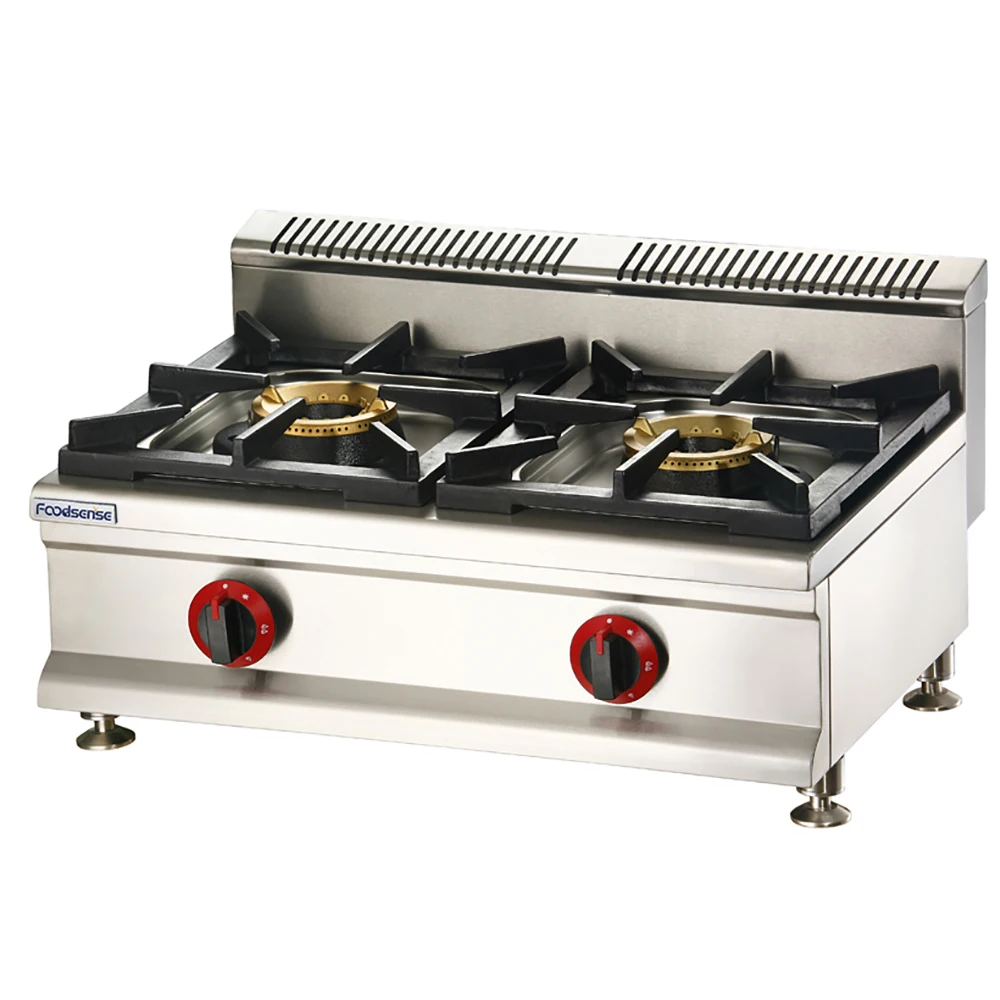 2021 Commercial New Hot Indoor Gas Burning Double Stove With Baffle for Sale