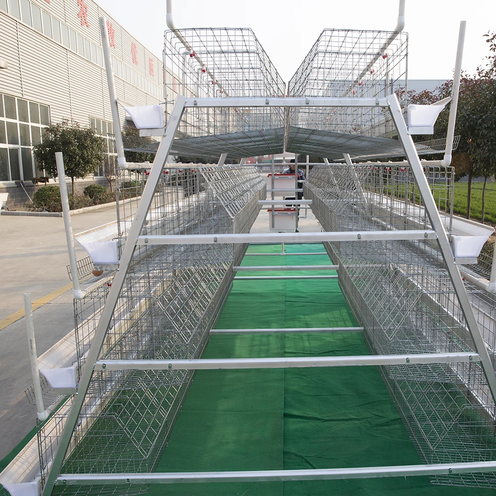 China Factory a Type Laying Hens Battery Chicken Cage With Chicken House