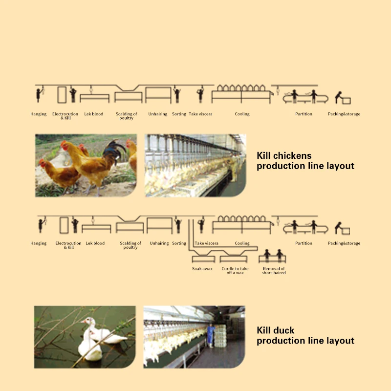 AICN new arrival poultry slaughter machine/chicken slaughtering equipment production line