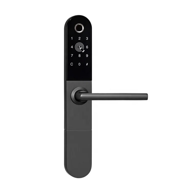 Biometric Fingerprint Identification Remote Control APP Password Electronic Door Lock For Apartment